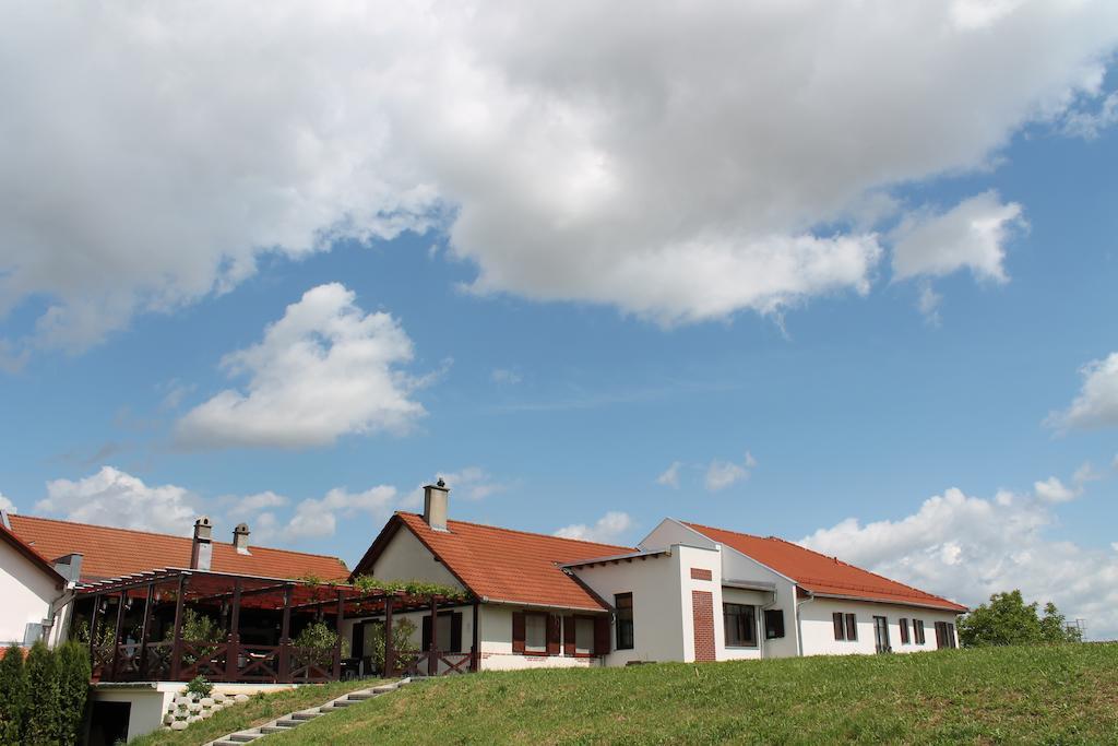 Tiffan'S Pinceszet Es Panzio Hotel Villány Exterior foto